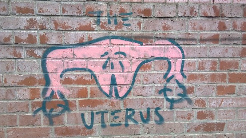 Anatomy of the uterus credit UT Southwestern Medical Center