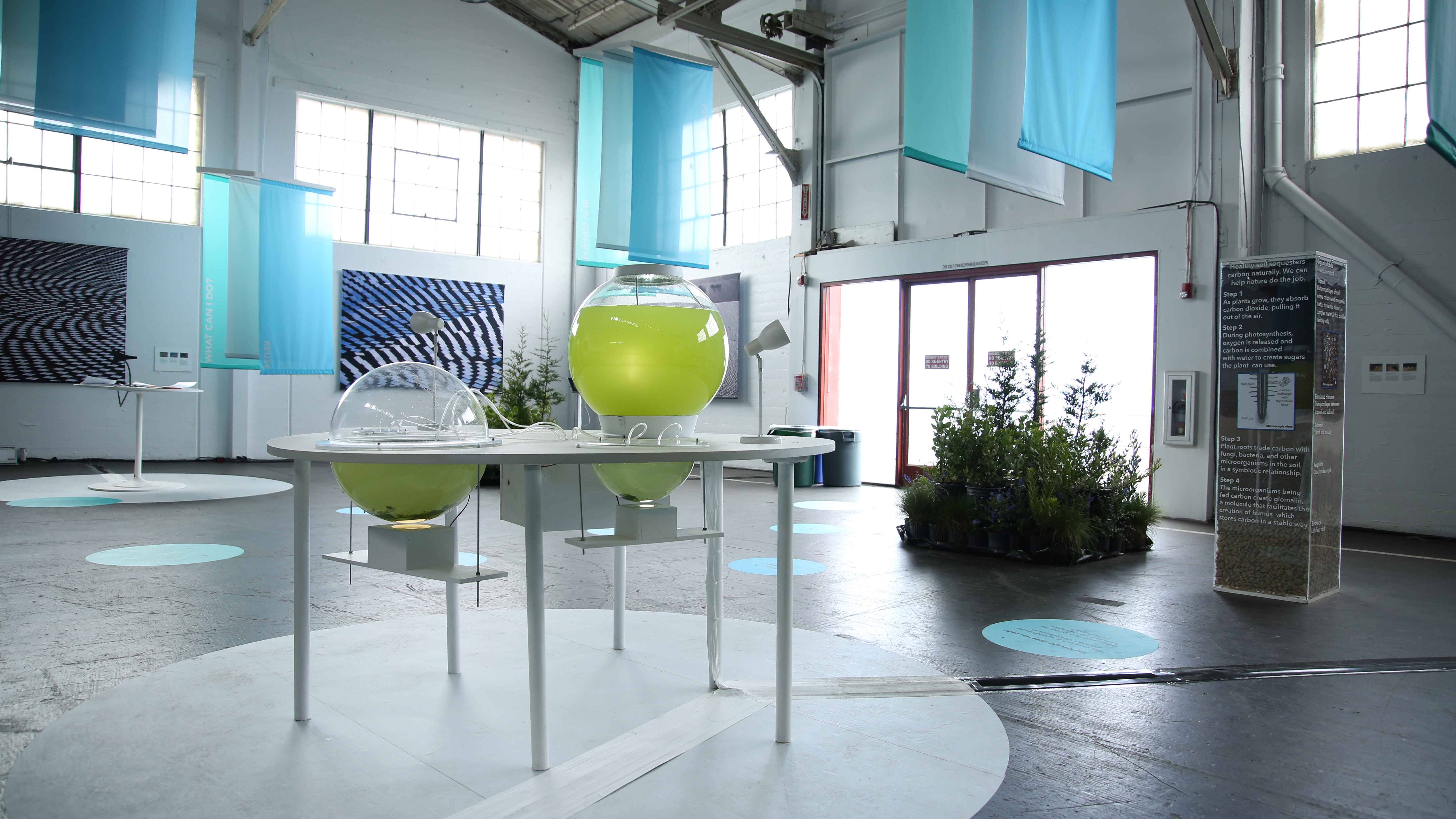 Algae Globe exhibit which includes a table and three globes filled with algae on top