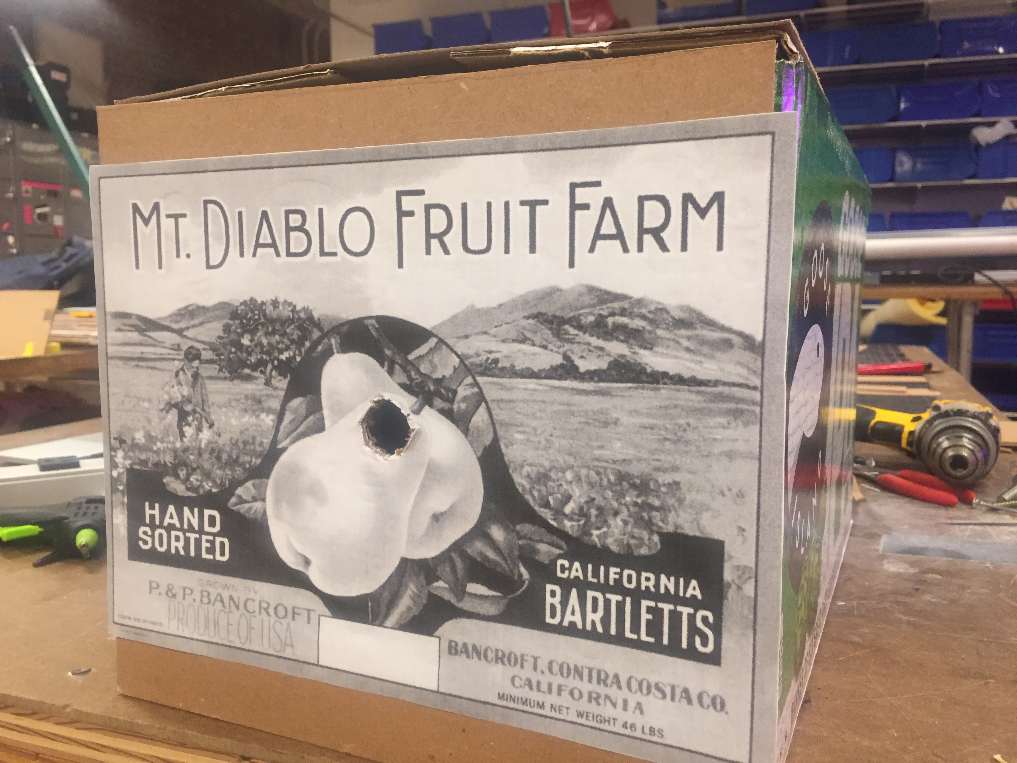 cardboard box with a printed image of a fruit advertisement, there is a whole both in the box and the image so people can look into the box