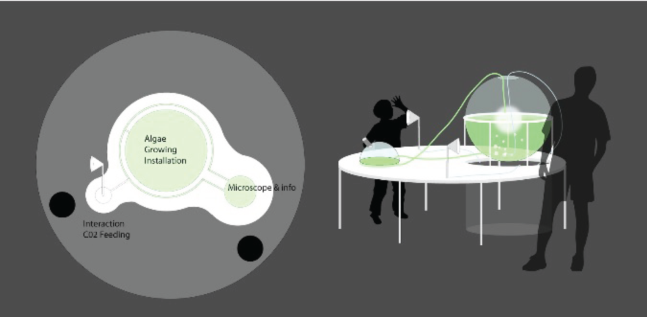 diagram of a table that has a large sphere filled with red liquid and two small semi spheres filled with green liquid