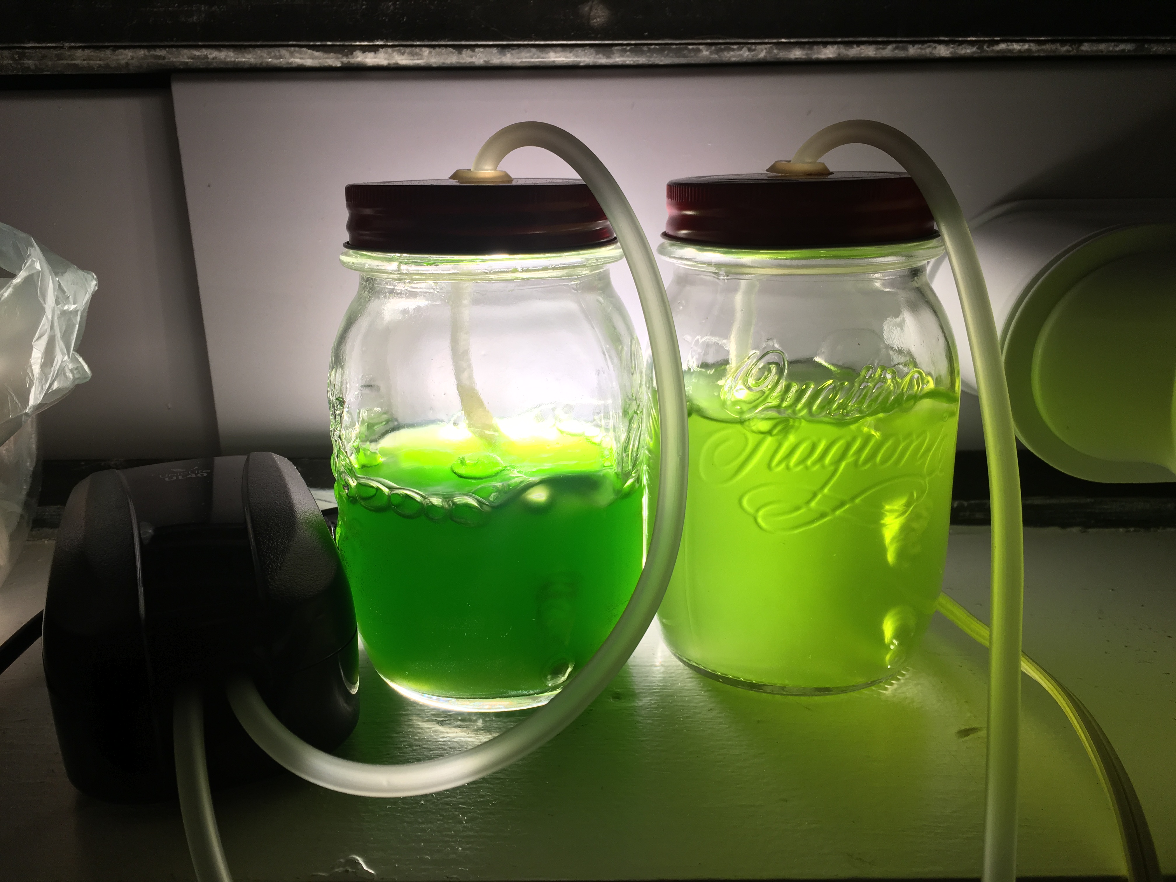 two mason jars illuminated from the back filled with green liquid in them